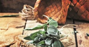 Согорувањето на жалфија носи многу придобивки за сите – од телото до енергијата во домот!