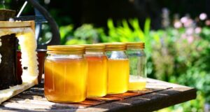 Зошто е добро да јадете една лажица мед пред спиење?