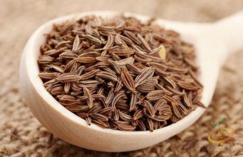 Медитерански зачин кој спречува надуеност