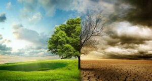 Еве како, според метеоролозите, климатските промени влијаат на нашето здравје