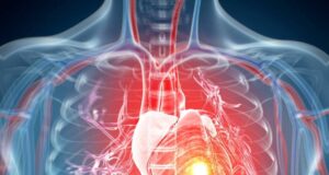 Мерење на пулсот: Ова се параметри на срцевиот ритам за секоја возрасна категорија