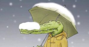 Со какви „маки“ би се соочил крокодил доколку се најде во човечкиот свет (фото)