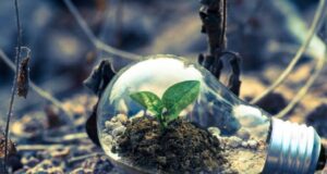 7 клучни работи кои можат да ја спасат планетата