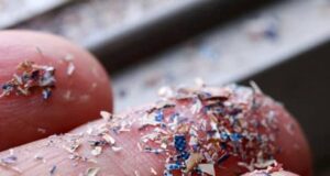 Секој ден јадеме повеќе од 900 парчиња пластика, предупредуваат експертите на последиците