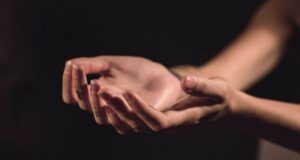 Еве што значат линиите на внатрешната страна на зглобот