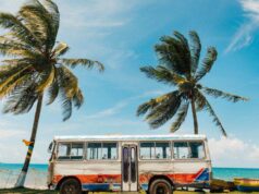 Земјата без змии во која сите пијат рум, 11 интересни факти за….