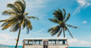 Земјата без змии во која сите пијат рум, 11 интересни факти за….