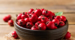 НАЈЛЕКОВИТО РАСТЕНИЕ НА СВЕТОТ: Еве како се користи за закрепнување и зајакнување на телото