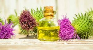 Овие пијалоци најефективно го чистат црниот дроб и ги топат мастите