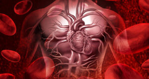 Сакате да ја подобрите циркулацијата? Користете ја оваа храна