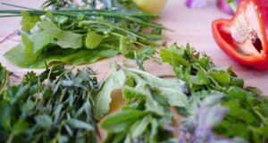 Се чувствувате надуено и уморно? Еве како да се ослободите од вишокот вода од телото, ова растение е чудо