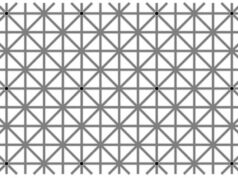 Најинтересната оптичка илузија-што забележувате на сликата