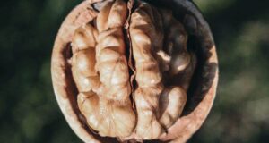 Еве зошто велат: „Ти си тоа што го јадеш“