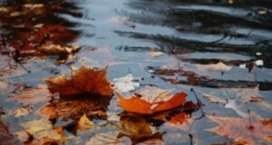 Зошто ни се спие кога врне? И дали е можно да се победи поспаноста во дождлив ден?