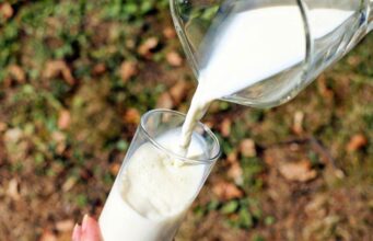 Нутриционистите објаснија кој вид млеко е најздрав