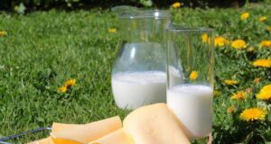 Еве што ќе се случи ако ги исклучите млечните производи