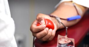 Дарување крв: Сè што треба да знаете