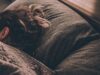 ИСТРАЖУВАЊЕ: Еве на која страна треба да спиете за подобро здравје на мозокот