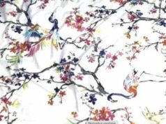 Оптичка илузија: Можете ли да ги најдете скриените очила на сликата?