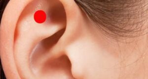 Масирајте ја оваа точка на увото, ќе се случи нешто одлично! (видео)