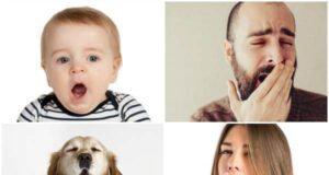 Зошто зевањето е „заразно“?