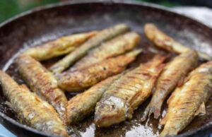 ЕДНА ГОДИНА ЈАДЕЛ САМО РИБА: А потоа отиде и истражуваше, резултатите го изненадија