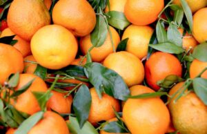 Два рани симптоми кои укажуваат на недостаток на витамин Ц