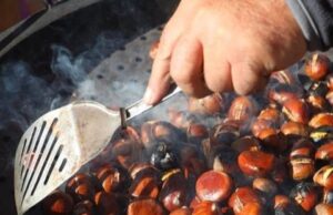 Почнува сезоната на костен, но некои луѓе ТРЕБА да ги избегнуваат