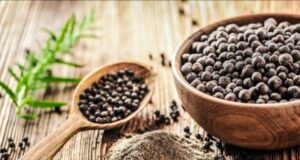 МАЛ НО МНОГУ ВАЖЕН: Го нарекуваат крал на зачините