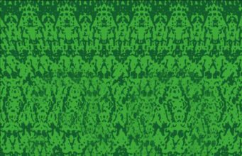 Можете ли да погодите кој број се крие во зелената шема?