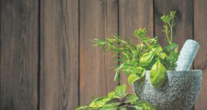 Еве како правилно да го подготвите чајот од босилек и кои се здравствените придобивки