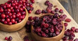 Брусницата како лек успешно се бори против бактериите