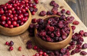 Брусницата како лек успешно се бори против бактериите