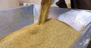 Занемарена храна која е фантастична за срцето, крвниот притисок, холестеролот