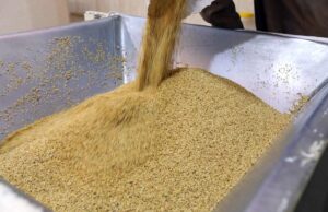 Занемарена храна која е фантастична за срцето, крвниот притисок, холестеролот