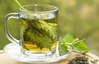 Чај од коприва лечи многу болести