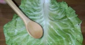 Заборавен народен лек: ЛИСТ ЗЕЛКА