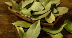 Болката во зглобовите ја ублажува кромидот и ловоров лист