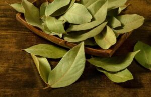 Болката во зглобовите ја ублажува кромидот и ловоров лист