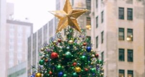 Зошто се поставува ѕвезда на врвот на елката? Неговата симболика е неверојатно моќна