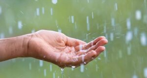 Какво време не очекува до крајот на неделата