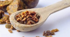 Лековити својства на прополисот: Ефикасен е против Helicobacter pylori и габите