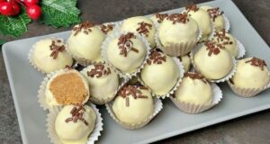 БЕЛИ ПЛАЗМА ТОПЧИЊА ОД САМО 4 СОСТОЈКИ