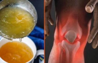 ГОВЕДСКИ ЖЕЛАТИН: Ги храни нашите зглобови, а еве како да го чуваме и користиме