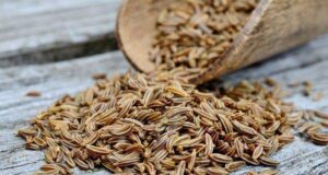 Ако се прејадете, овој зачин може да ви помогне: ќе направи чуда за вашиот стомак