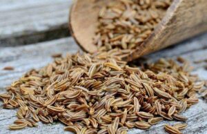 Ако се прејадете, овој зачин може да ви помогне: ќе направи чуда за вашиот стомак