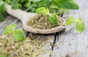 Ориганото како лек