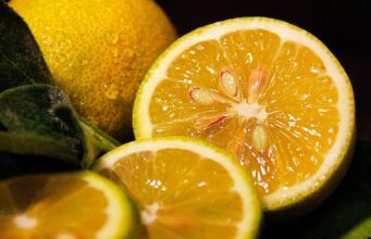 Семки од лимон – вистинско богатство на здравјето