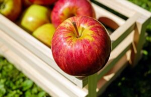 ЈАБОЛКА ЗА МИРЕН СОН: Овошје кое ве опушта физички и психички