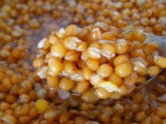 САМО ДВЕ ЛАЖИЦИ НА ДЕН: Домашен лек за зглобовите, коските и колената…